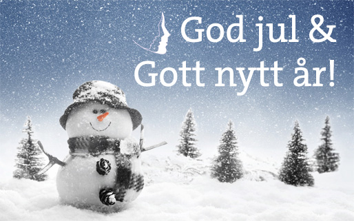 God jul och gott nytt år!