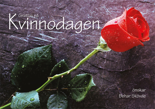 Grattis på Internationella kvinnodagen