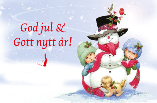 God jul och Gott nytt år!