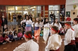 033_skovde_150