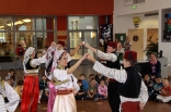 044_skovde_175