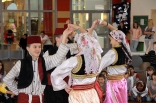 047_skovde_181