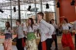 060_skovde_213