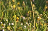 bhs_20110415-25_053