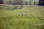 bhs_20110415-25_059