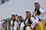 stupari_20110419_030