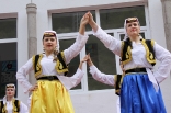stupari_20110419_057