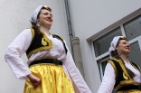 stupari_20110419_058