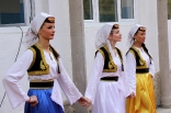 stupari_20110419_060