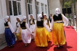 stupari_20110419_063