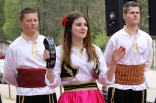 stupari_20110419_083