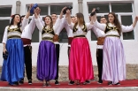stupari_20110419_089