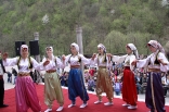 stupari_20110419_110