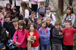 stupari_20110419_123