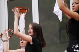 stupari_20110419_133