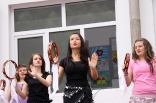 stupari_20110419_137
