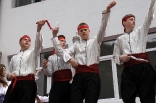 stupari_20110419_170