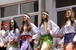 stupari_20110419_176