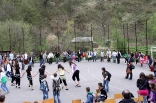 stupari_20110419_186