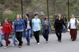 stupari_20110419_191