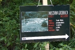 nezuk-kamenica_20110708_062