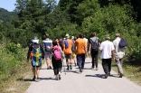 kamen_konj-p_20110709_074