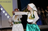skovde-20111126-224-ht