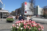 bhkrf-helsingborg-20150418-005-rk.jpg
