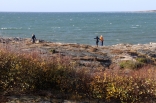 bhkrf-kuggaviksgarden-20151024-25-080